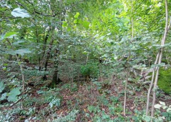 terreno agricolo in vendita a Castelmarte