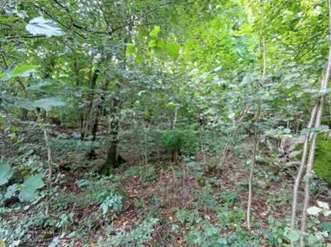 monolocale in vendita a Castelmarte