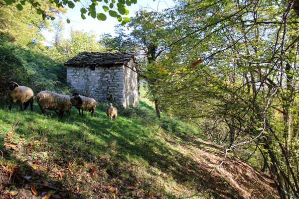 casale in vendita a Cerano d'Intelvi