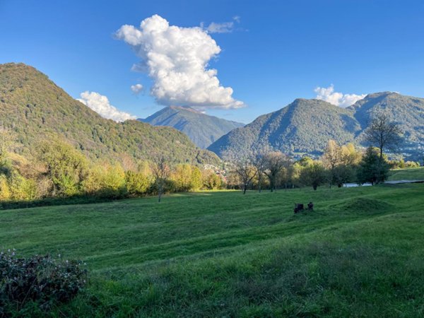 terreno agricolo in vendita a Cerano d'Intelvi