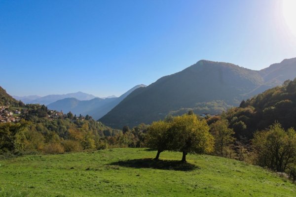 terreno agricolo in vendita a Cerano d'Intelvi