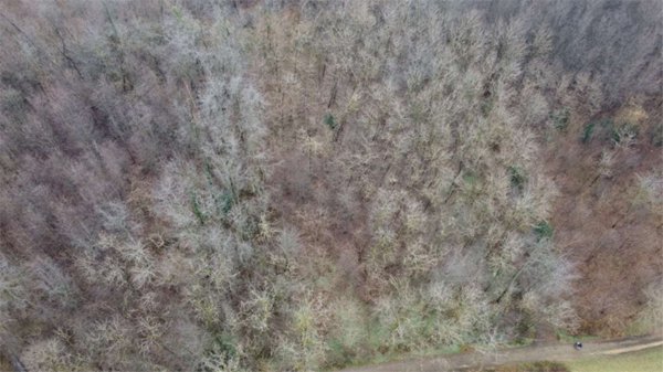 terreno agricolo in vendita a Cirimido