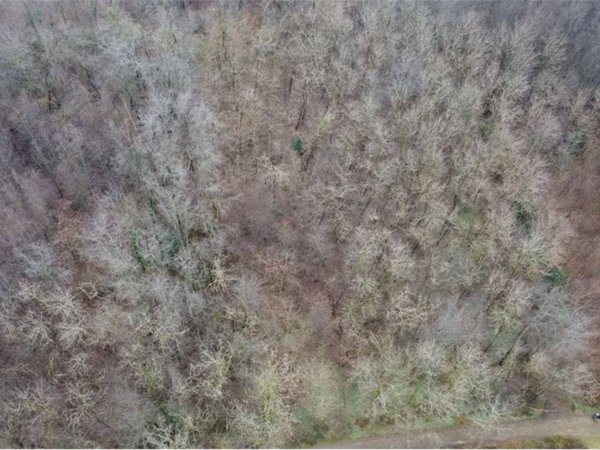 terreno agricolo in vendita a Cirimido