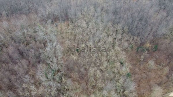 terreno agricolo in vendita a Cirimido