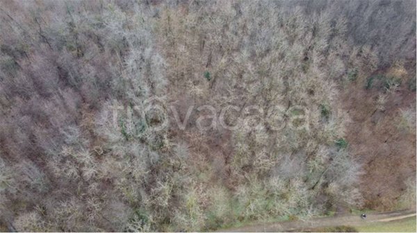 terreno agricolo in vendita a Cirimido