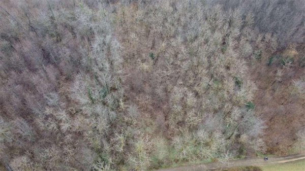 monolocale in vendita a Cirimido