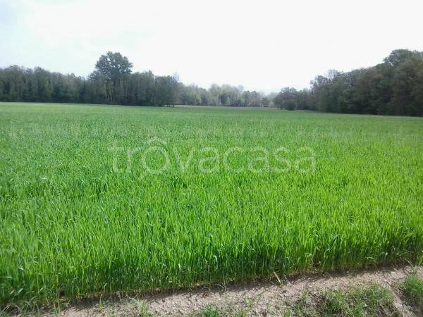 terreno agricolo in vendita a Como in zona Borghi