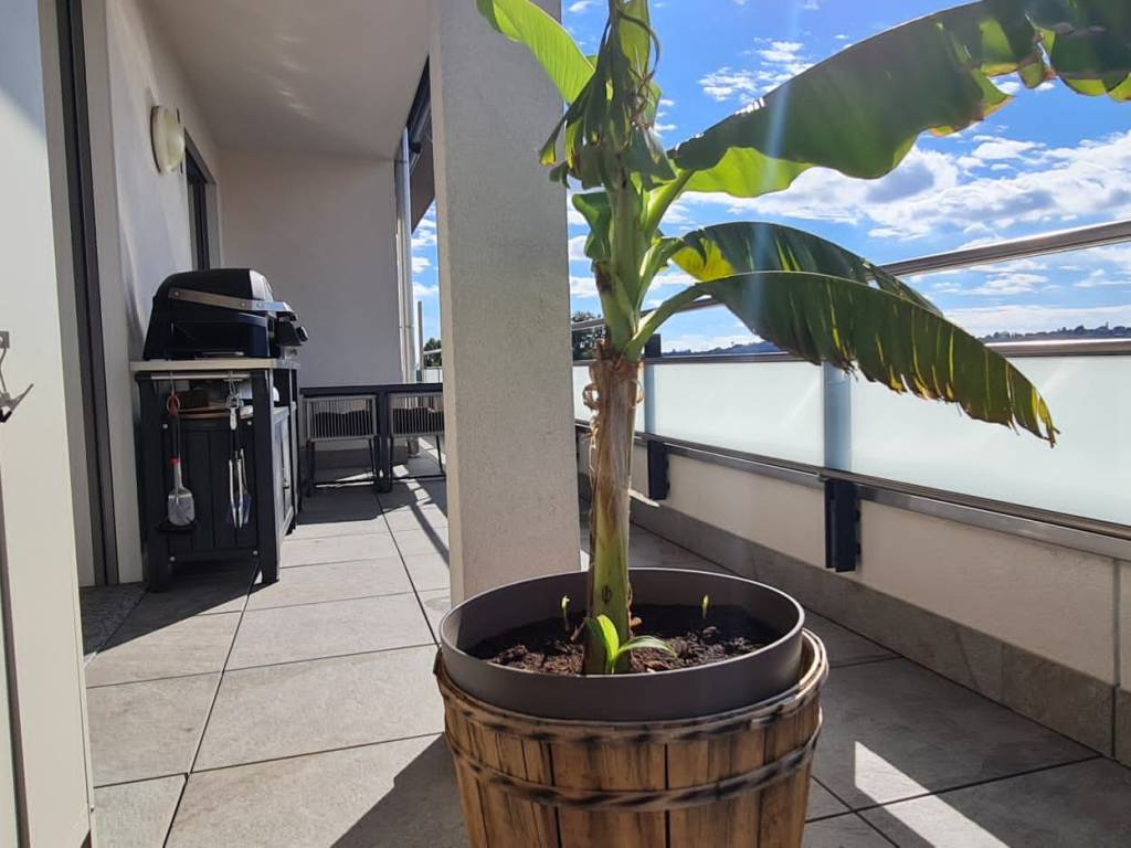 appartamento in vendita a Como in zona Albate