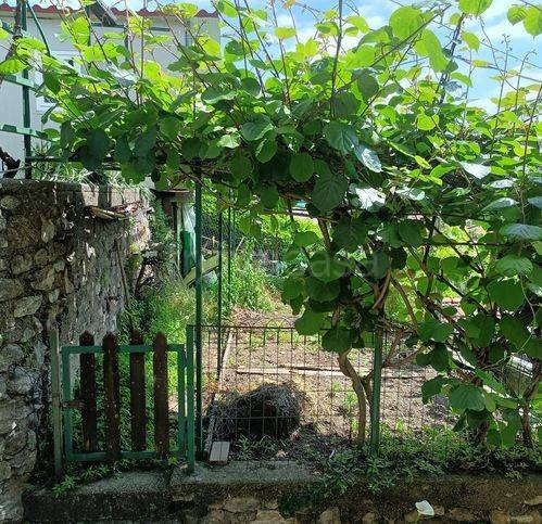 appartamento in vendita a Como in zona Monte Olimpino