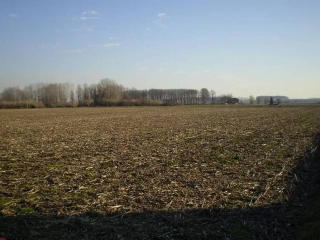 terreno agricolo in vendita a Cucciago