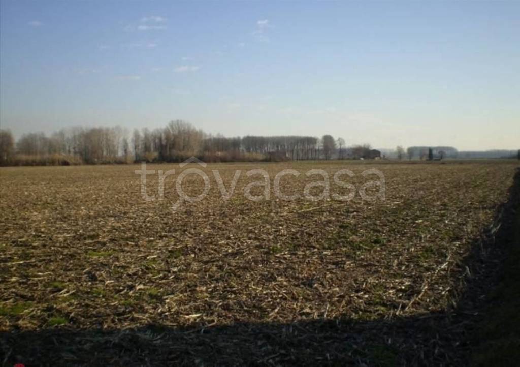 terreno agricolo in vendita a Cucciago