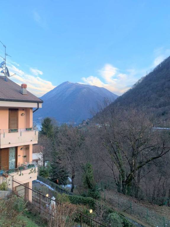 appartamento in vendita a Dizzasco