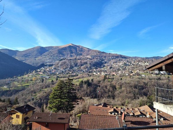 terreno agricolo in vendita a Dizzasco