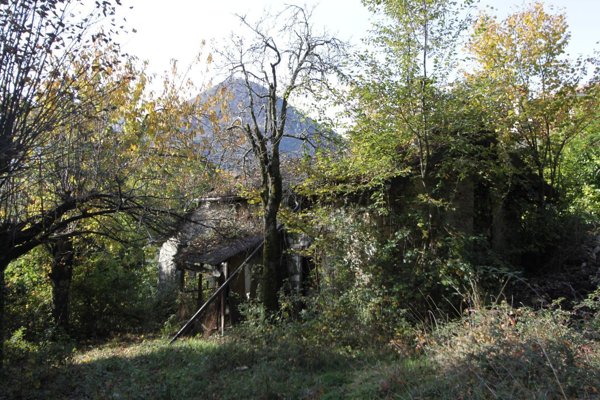 quadrivano in vendita a Dizzasco
