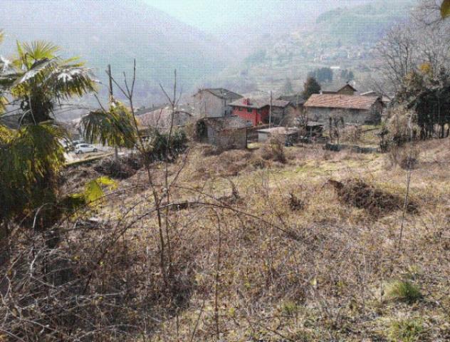 terreno agricolo in vendita a Dizzasco