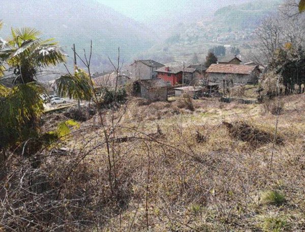 terreno agricolo in vendita a Dizzasco