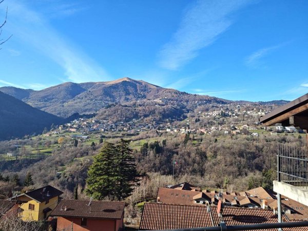 terreno agricolo in vendita a Dizzasco