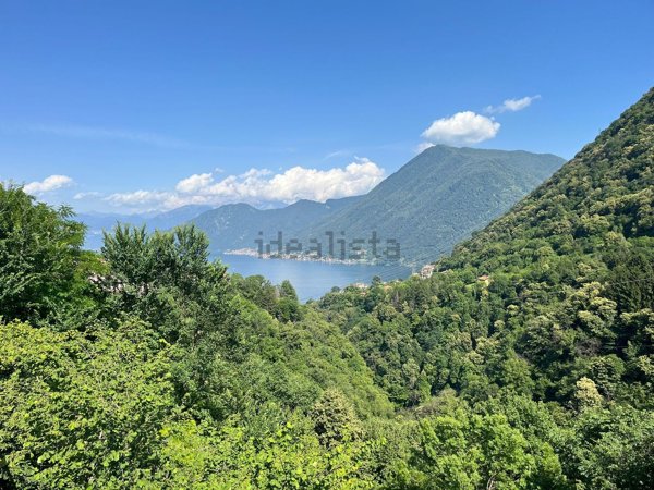 appartamento in vendita a Dizzasco