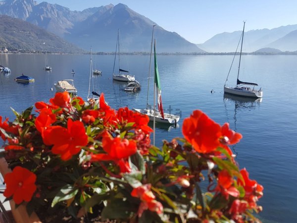 appartamento in vendita a Domaso