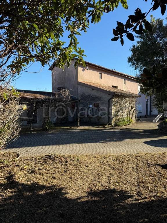 negozio in vendita a Domaso