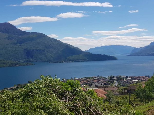 appartamento in vendita a Domaso
