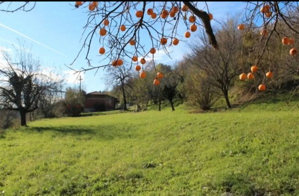 terreno edificabile in vendita ad Erba