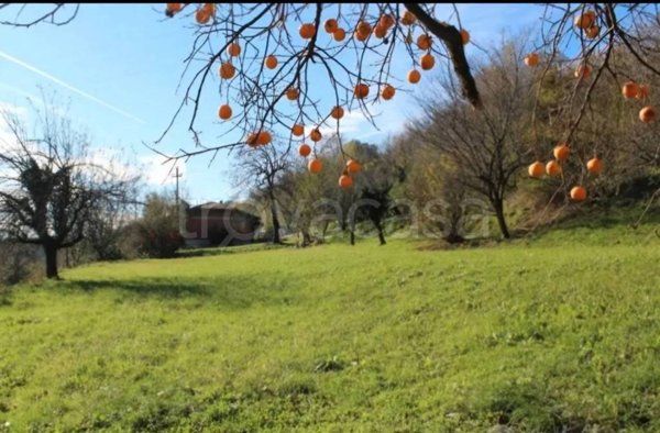 terreno agricolo in vendita ad Erba