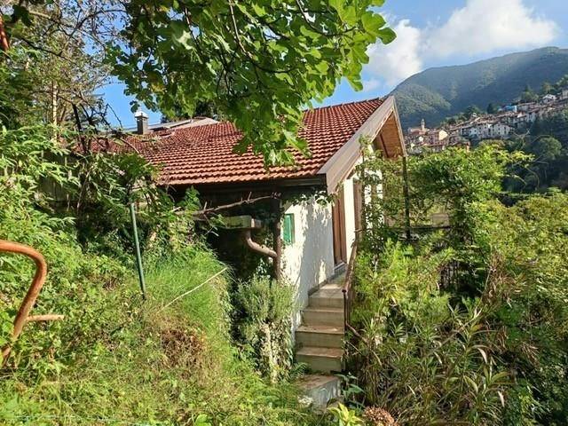 casa indipendente in vendita a Faggeto Lario in zona Molina