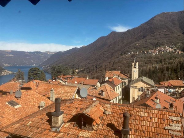 casa indipendente in vendita a Faggeto Lario in zona Molina