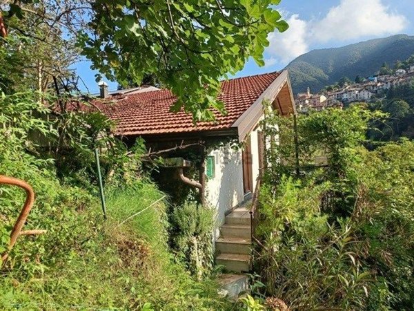 casa indipendente in vendita a Faggeto Lario in zona Molina