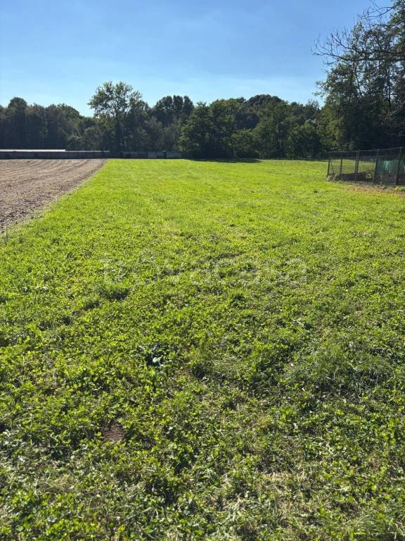 terreno agricolo in vendita a Faloppio
