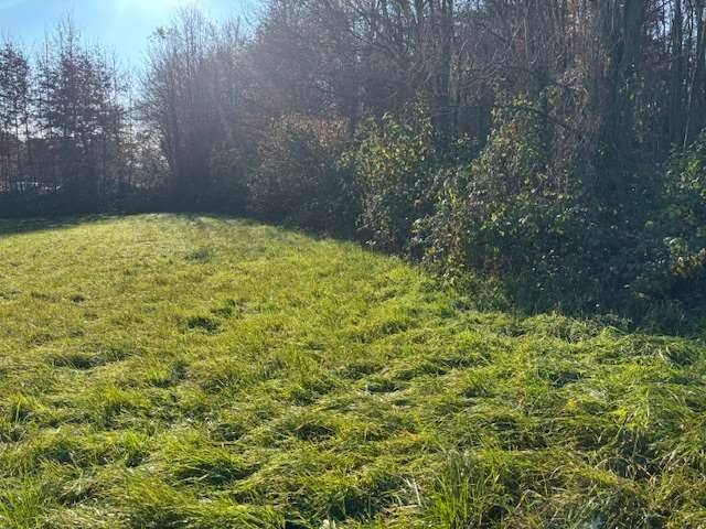 terreno agricolo in vendita a Fino Mornasco