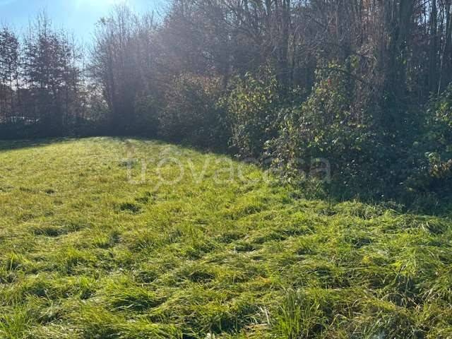terreno agricolo in vendita a Fino Mornasco
