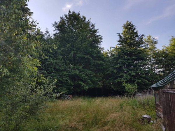 terreno agricolo in vendita a Fino Mornasco