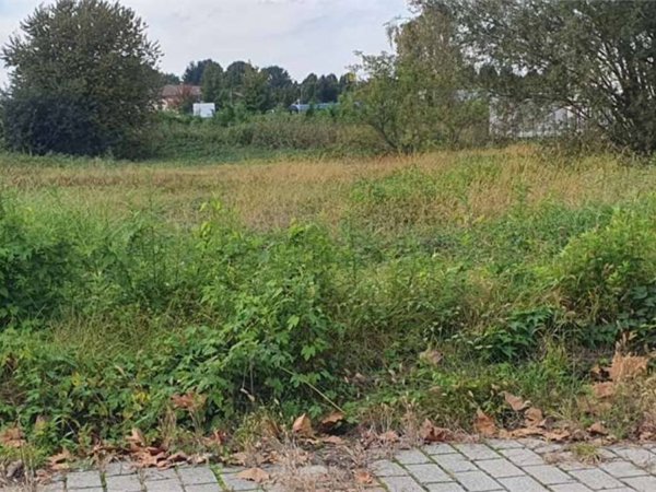 terreno agricolo in vendita a Fino Mornasco