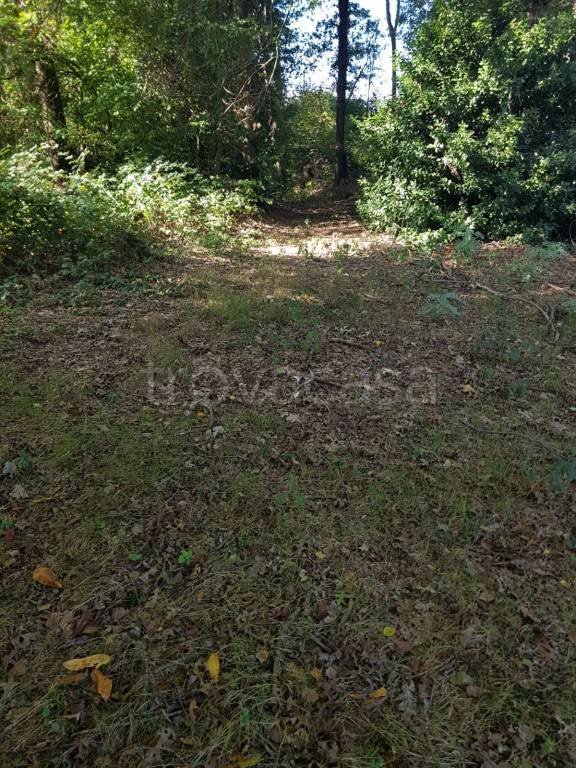 terreno agricolo in vendita a Fino Mornasco