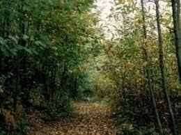 terreno edificabile in vendita a Fino Mornasco