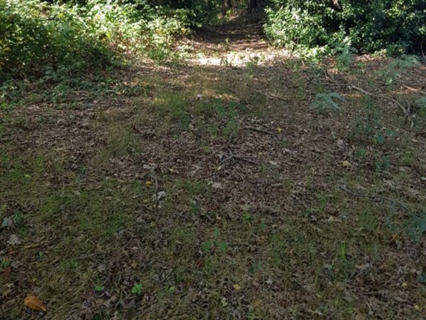 terreno agricolo in vendita a Fino Mornasco