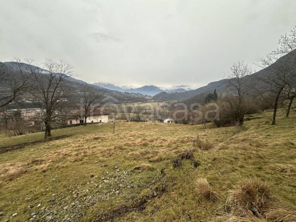 terreno agricolo in vendita a Grandola ed Uniti