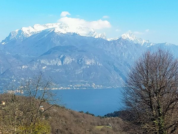 terreno edificabile in vendita a Grandola ed Uniti in zona Naggio