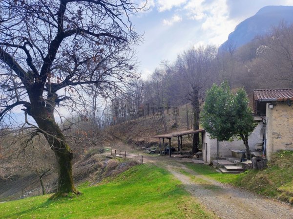 appartamento in vendita a Grandola ed Uniti in zona Grona