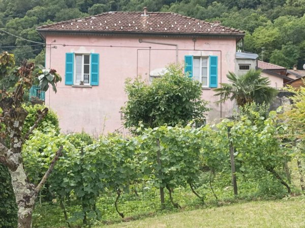 casa indipendente in vendita a Grandola ed Uniti in zona Grona