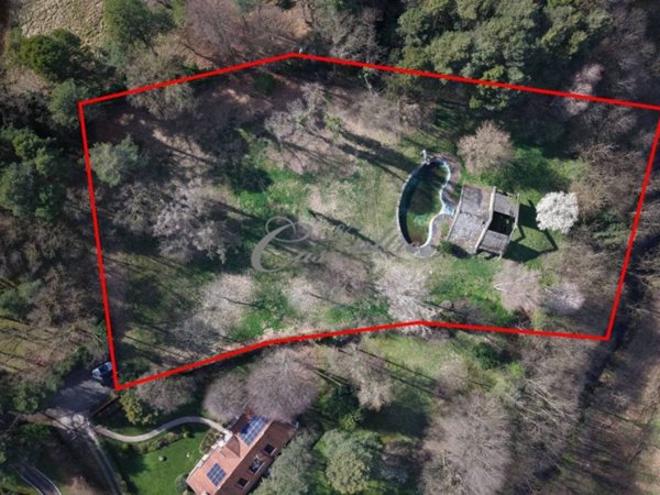 terreno agricolo in vendita a Guanzate