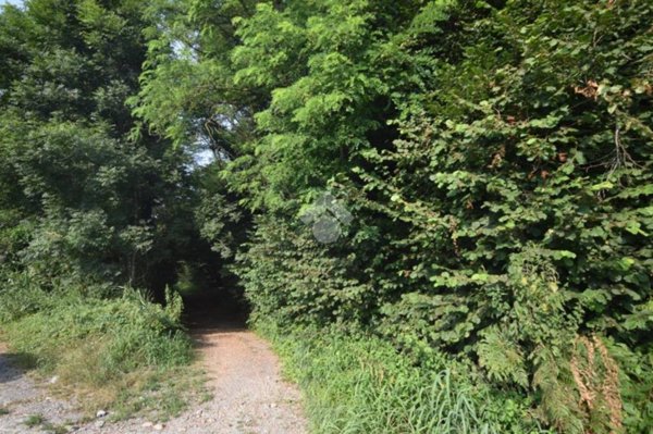 terreno agricolo in vendita ad Inverigo