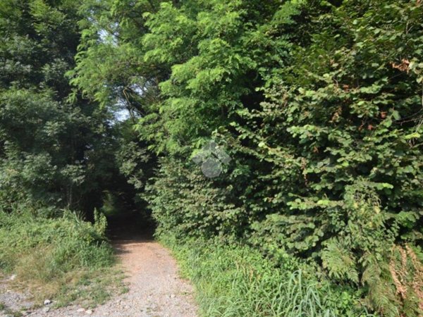 terreno agricolo in vendita ad Inverigo