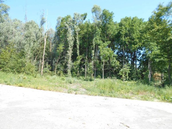 terreno agricolo in vendita ad Inverigo