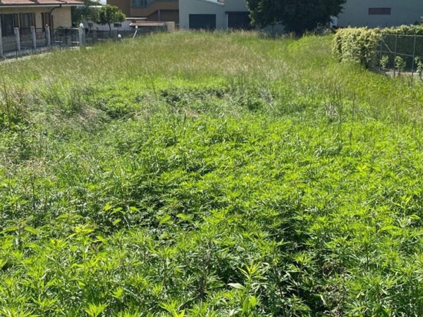 terreno agricolo in vendita ad Inverigo