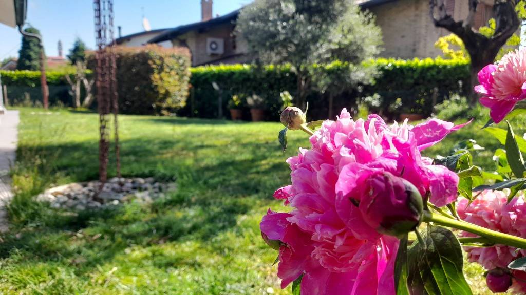 casa indipendente in vendita ad Inverigo
