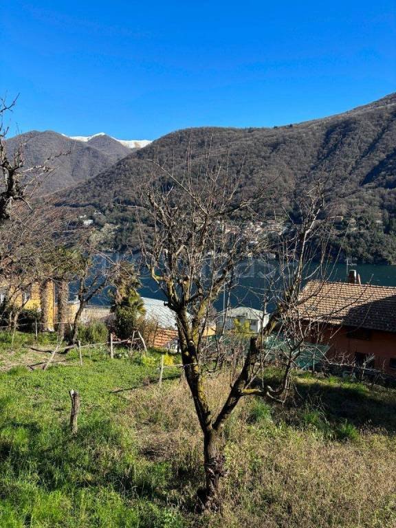 casa indipendente in vendita a Laglio