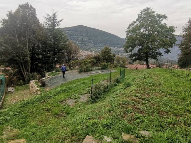 terreno agricolo in vendita a Laino